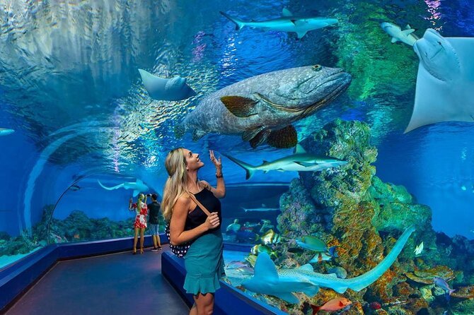 Dubai Aquarium